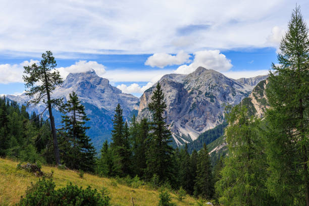 istock Forcella Lerosa - Dolomites - Italy 1421195519
