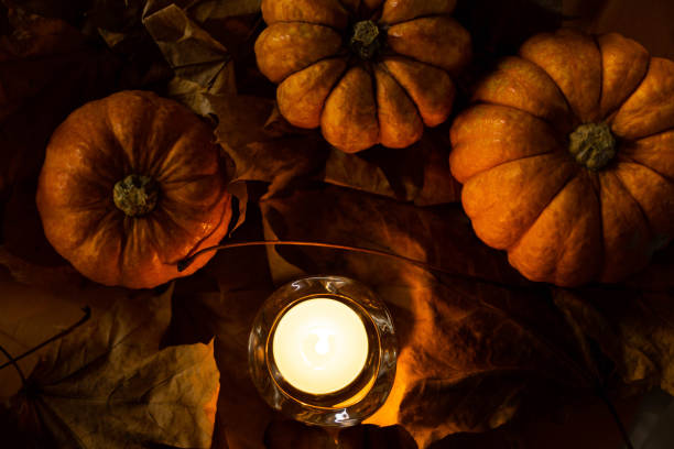 istock Halloween's holiday attributes. Three pumpkins on a black background with spider webs and autumn leaves. Trick or treat 1421195690