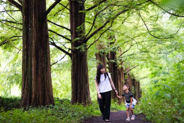 Park in Kanagawa