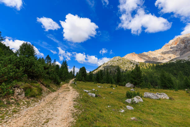 Forcella Lerosa - Dolomites - Italy