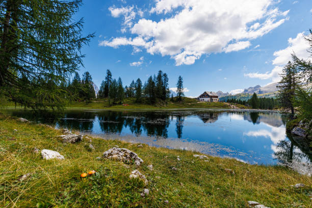 istock Croda da Lago - Dolomites - Italy 1421197544