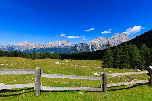 Croda da Lago - Dolomites - Italy