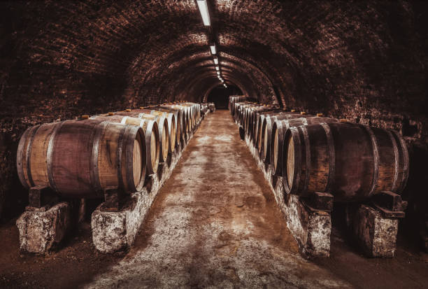 istock Wine barrels in wine-vaults in order 1421198978