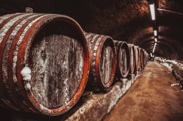 istock Wine barrels in wine-vaults in order 1421198980