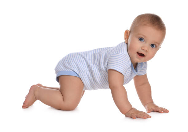 istock Cute little baby boy crawling on white background 1421199662