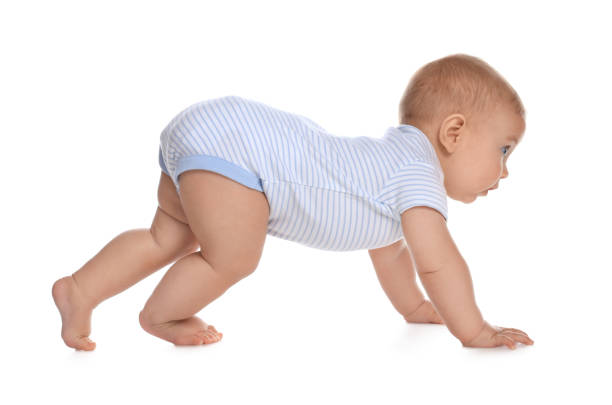 istock Cute little baby boy crawling on white background 1421199674