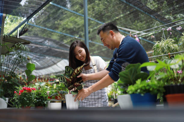 istock Gardeners in aprons working in a garden center 1421202006