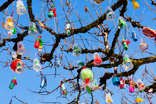 Multi colored Christmas decorations made of recycled materials hanging from bare oak tree. Plastic glasses and bottles, tree branches. Vilalba, Lugo province, Galicia, Spain.