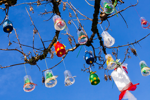 Multi colored Christmas decorations made of recycled materials hanging from bare tree. Plastic glasses and bottles, tree branches. Vilalba, Lugo province, Galicia, Spain.