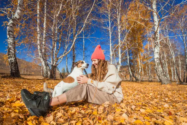 Young cheerful girl with dog walks in autumn park. Teenage girl in orange hat plays with yellow leaves in the forest