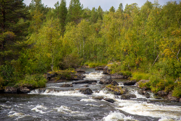 istock River landscape in Lapland Finland 1421213990