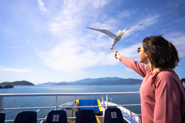 istock A young woman feeds seagulls from a ferry 1421217159