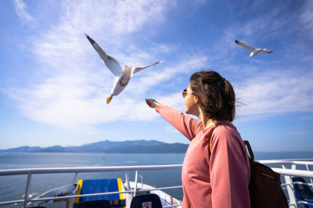 istock A young woman feeds seagulls from a ferry 1421217711