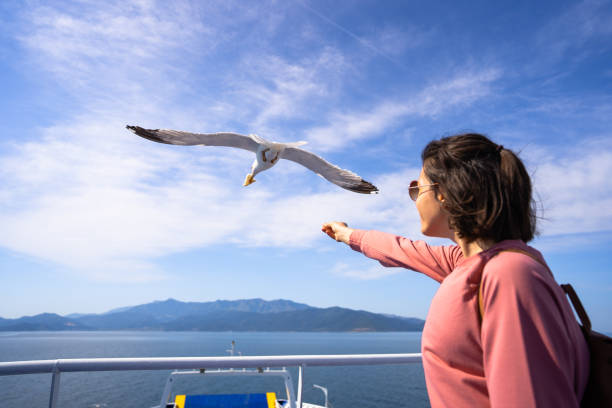 istock A young woman feeds seagulls from a ferry 1421217745
