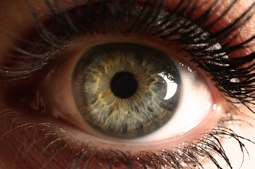 A close up image of a young boys eye with a tree and the photographers reflection showing in eye.