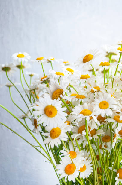 istock Summer flowers in a bouquet. 1421218612