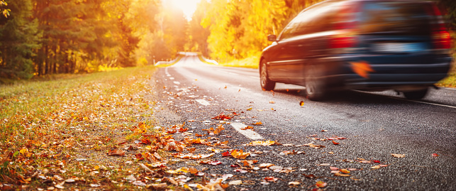 Car on the autumnal asphalt road in countryside. Beautiful panorama of the natural park. Concept of the family vacation and transportation.