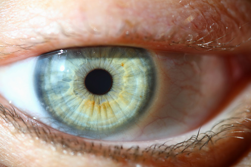 Closeup of human eye and macro photography. Hyperopia, myopia, astigmatism and laser vision correction