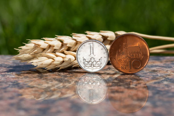 1 moneda czk, moneda 10 czk y espigas maduras de trigo - czech culture currency wealth coin fotografías e imágenes de stock