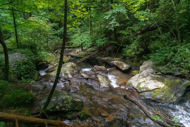 istock Beautiful landscape of Anna Ruby Falls, GA 1421223537