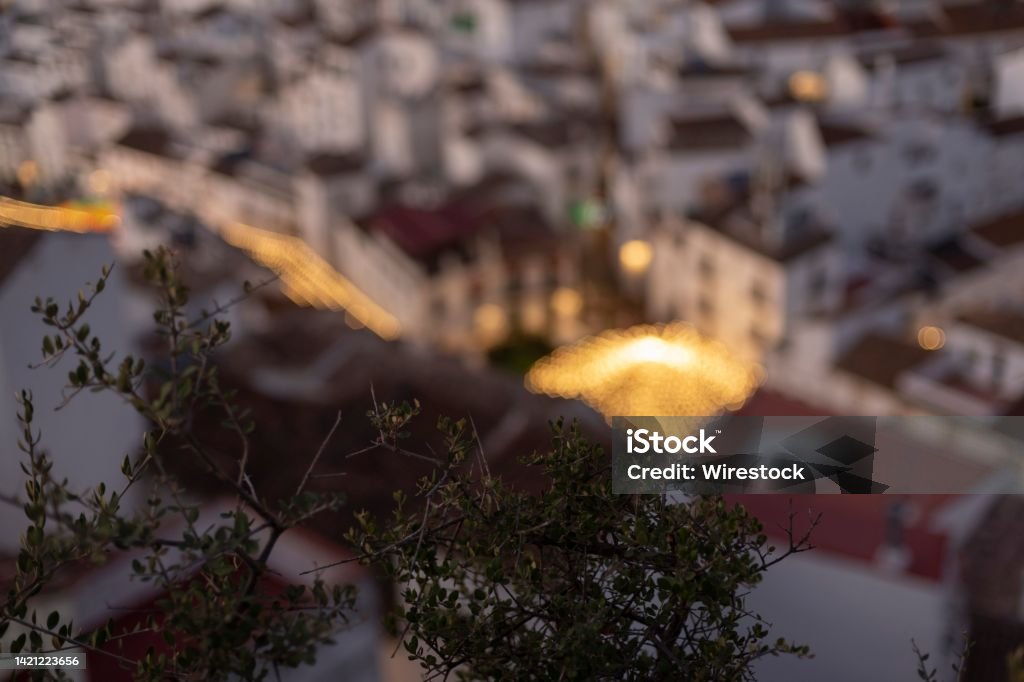 Branches of a tree against the blurred cityscape of Casares, Spain The branches of a tree against the blurred cityscape of Casares, Spain Abstract Stock Photo