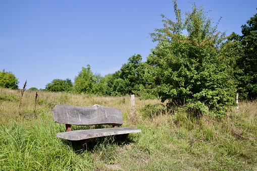 A bench made of wood in nature with green bushes and trees and a blue sky in Denmark