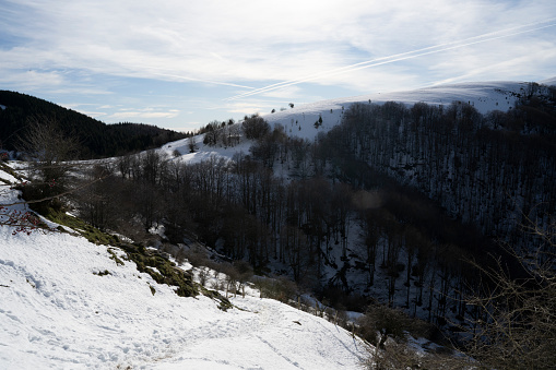 Many national flags at Ski Jump Planica at winter in Slovenia at Ratece near Kranjska gora.