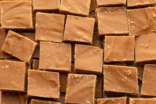 A closeup shot of some brown sweet treats cut into squares.