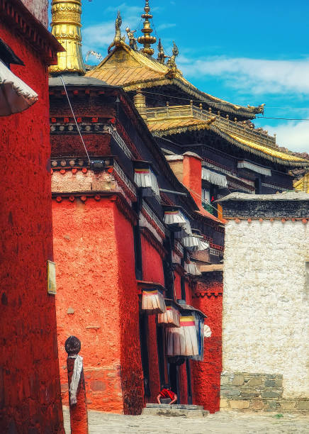 istock Tashilhunpo Monastery in Shigatse, Tibet 1421226499
