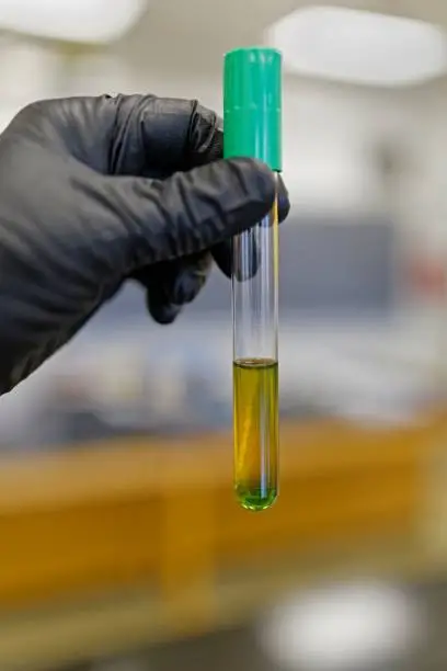 Photo of Fermentation-Oxidization test for bacterial