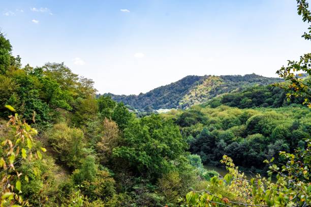 istock Mesmerizing scenery of green mountains covered by dense forests with a clear sky above 1421228689