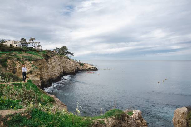 hombre de negocios asiático japonés de pie en el borde de un acantilado cerca de la orilla del mar en san diego - on top of business cliff businessman fotografías e imágenes de stock