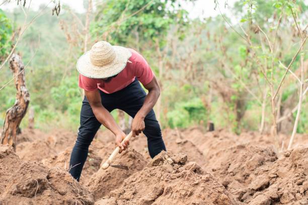 istock farmer working in a farm 1421229736