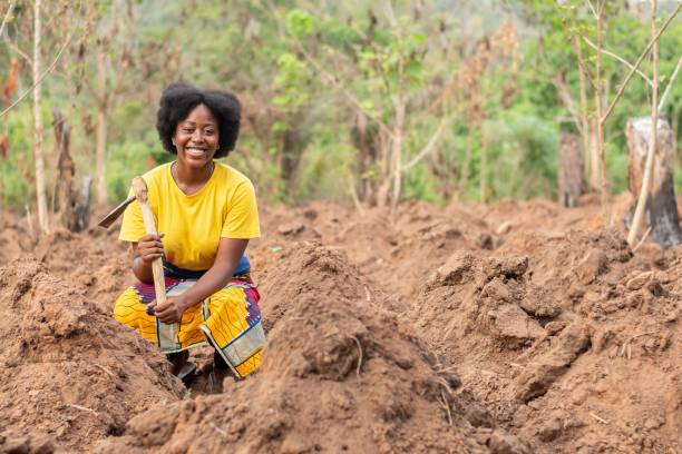 istock african farmer working on a farm 1421229767
