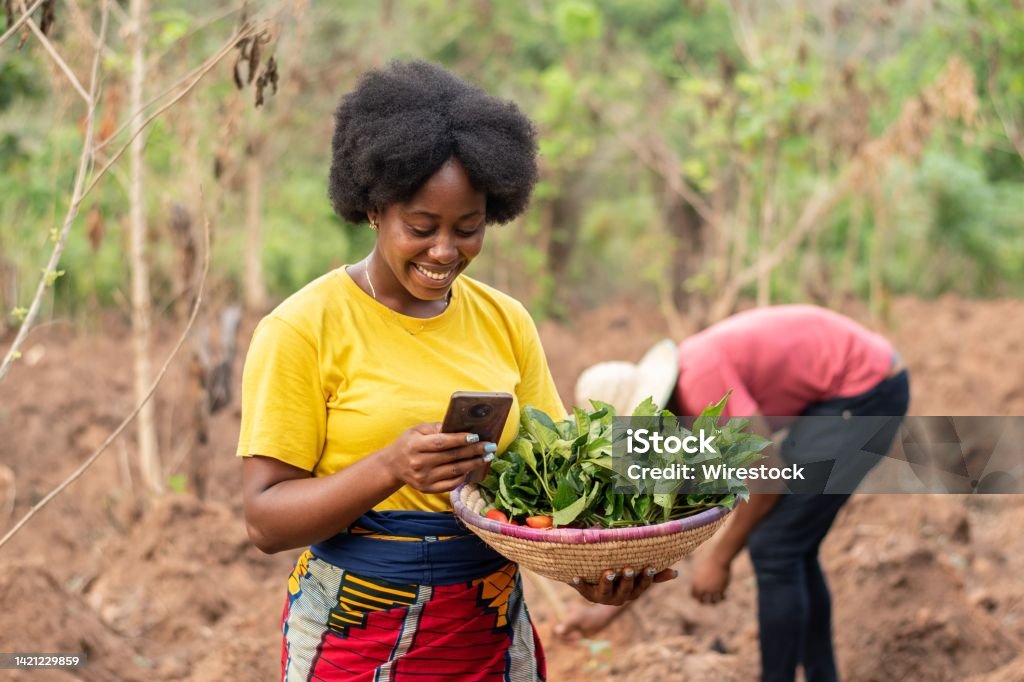 african farmer making use of her phone female african farmer making use of her phone Africa Stock Photo