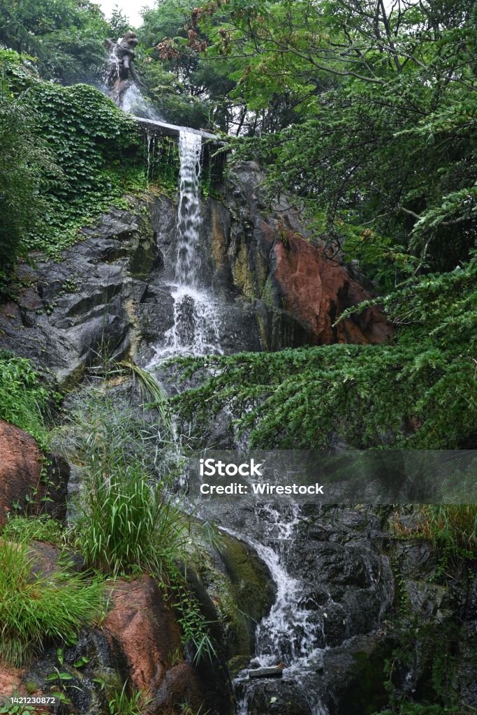 Vertical shot of a waterfall flowing down the rocks in a forest in daylight A vertical shot of a waterfall flowing down the rocks in a forest in daylight Beauty In Nature Stock Photo