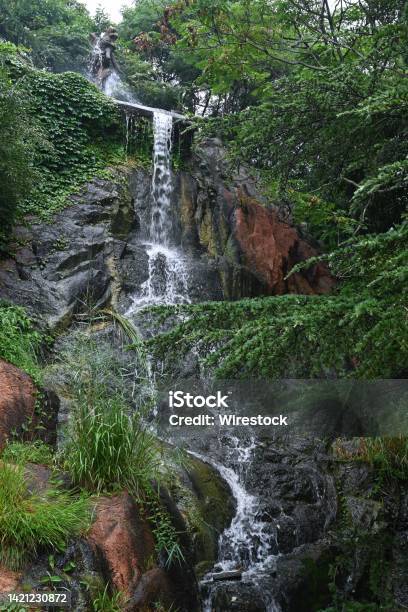 Vertical Shot Of A Waterfall Flowing Down The Rocks In A Forest In Daylight Stock Photo - Download Image Now