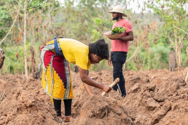 istock african farmer working on a farm 1421231398