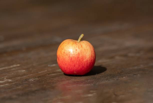 istock an isolated red apple on a plank in the foreground 1421231874