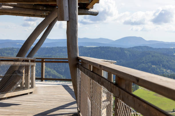 torre de observação localizada no topo da estação de esquí de sotwiny arena, que leva nas copas das árvores, belo panorama dos picos da montanha, krynica zdroj, montanhas beskid, slotwiny, polônia - ski arena - fotografias e filmes do acervo