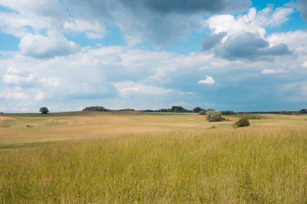 A field with tallgrass in autumn under the bright cloudy sku