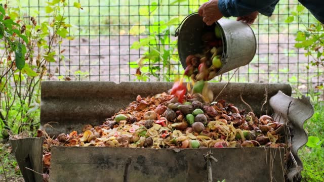 Organic waste falling from a bucket into a compost pit. Bio-waste recycling. Compost bin with organic waste. Bio food waste composting bin. Biodegradable material, organic recycling concept