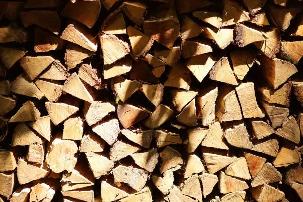 Full Format Stack of fresh cut Wood in forest in interesting spotlight