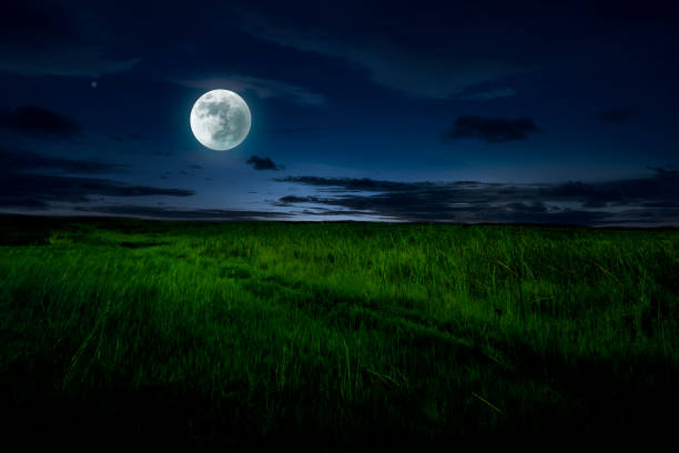 istock Evening time landscape in meadow with moonlight 1421236480