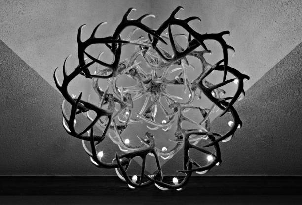 Grayscale shot of an Antlers shape Chandelier A grayscale shot of an Antlers shape Chandelier antler chandelier stock pictures, royalty-free photos & images