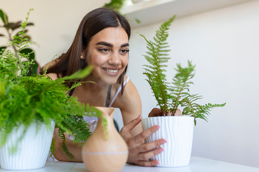 Woman caring for plants next to steam aroma oil diffuser on the table at home, steam from humidifier. Humidification of air in apartment during the period of self-isolation due to coronavirus pandemic
