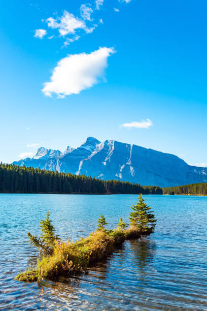 istock Two Jack Lake. Small island 1421242997
