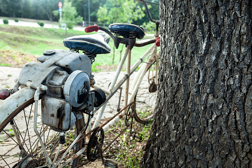 Antique tandem bike leaning a tree trunk