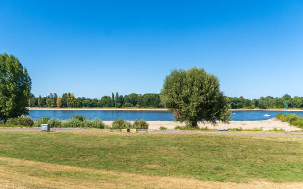 istock Rhine River at Cologne-Rodenkirchen 1421244457