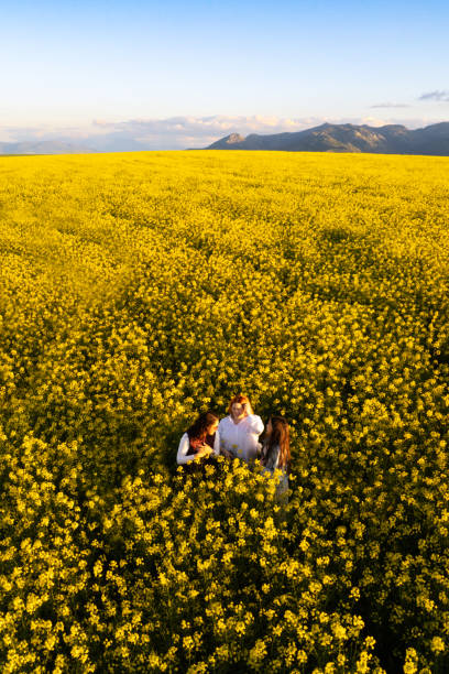 istock Girls having fun in canola fields high angle vertical point of view 1421245547